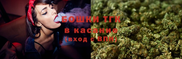 молекула духа Новокубанск