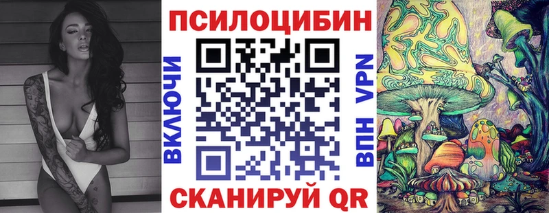 дарнет шоп  Пушкино  Галлюциногенные грибы мицелий 